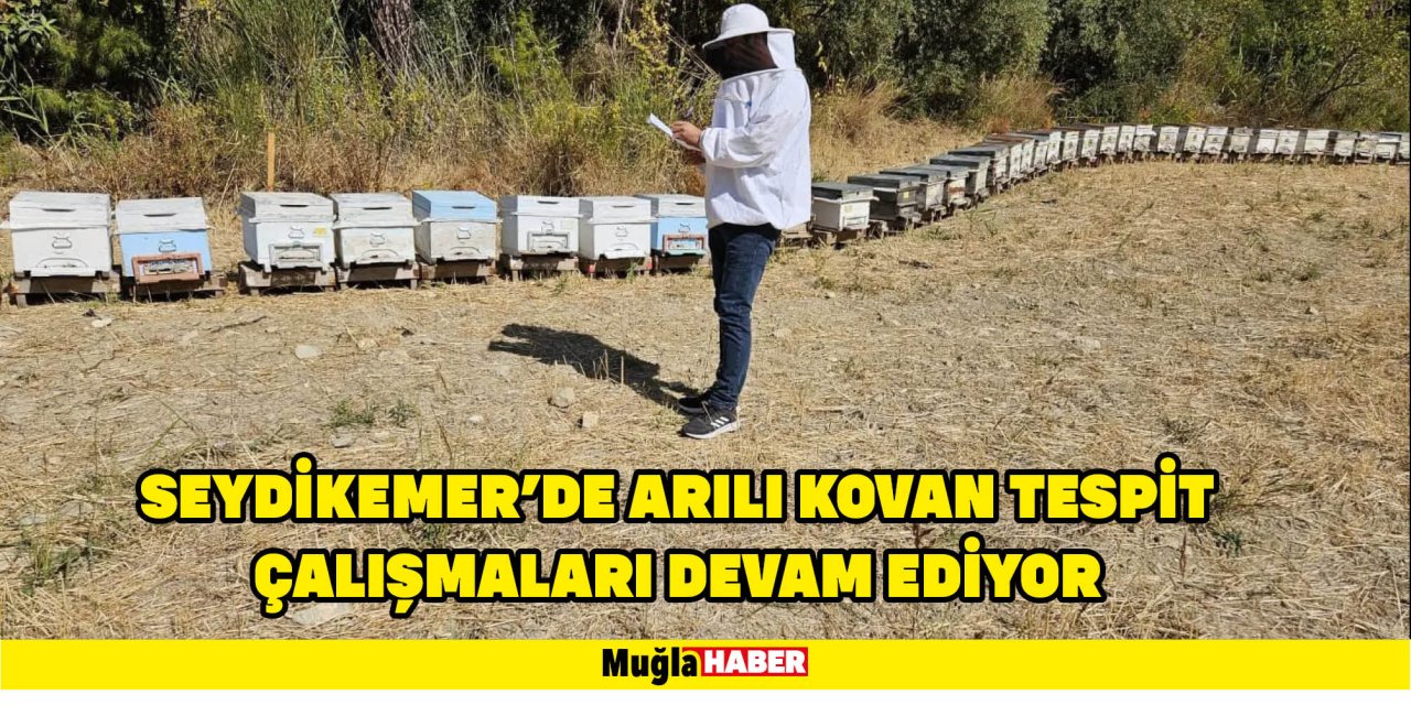 SEYDİKEMER'DE ARILI KOVAN TESPİT ÇALIŞMALARI DEVAM EDİYOR