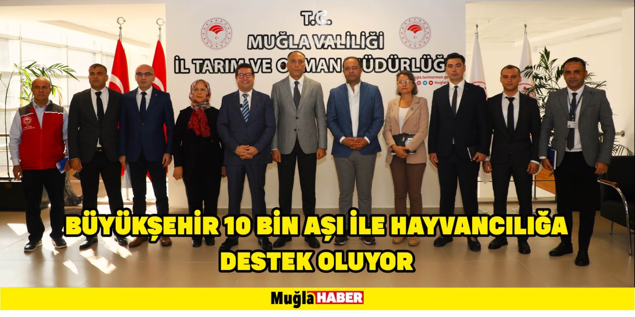 BÜYÜKŞEHİR 10 BİN AŞI İLE HAYVANCILIĞA DESTEK OLUYOR