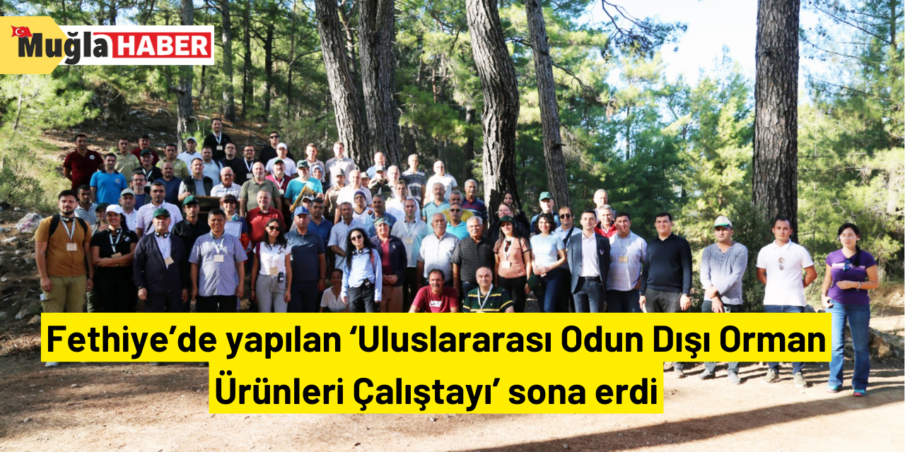 Fethiye’de yapılan ‘Uluslararası Odun Dışı Orman Ürünleri Çalıştayı’ sona erdi