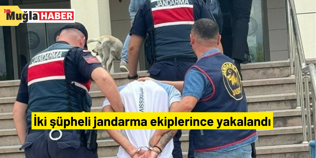 İki şüpheli jandarma ekiplerince yakalandı