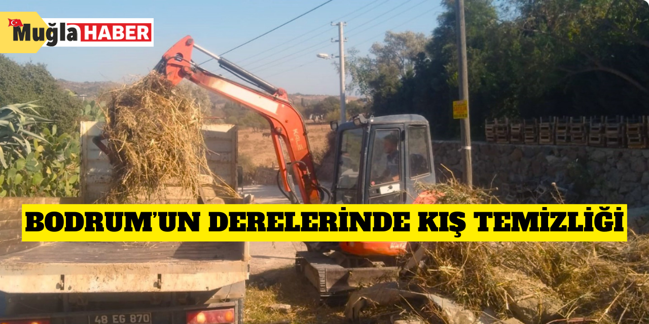 Bodrum’un derelerinde kış temizliği