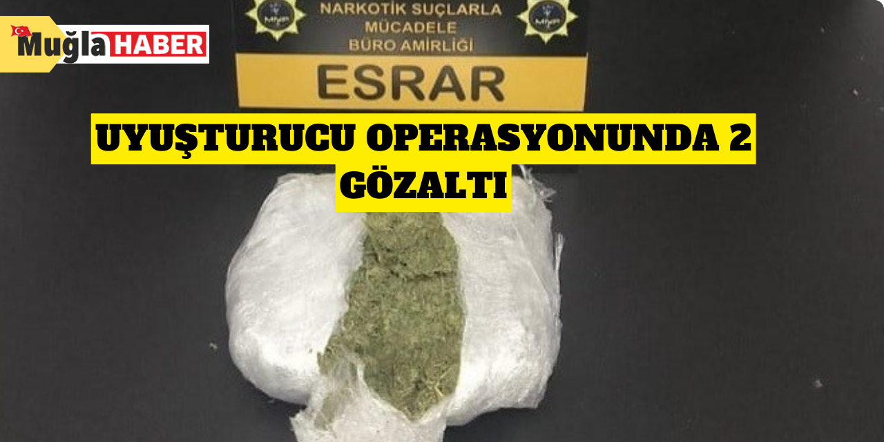 Uyuşturucu operasyonunda 2 gözaltı