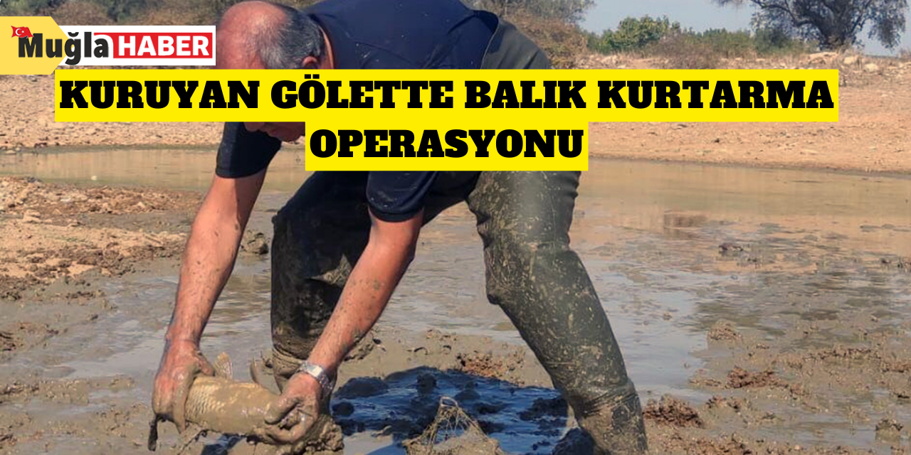 Kuruyan gölette balık kurtarma operasyonu