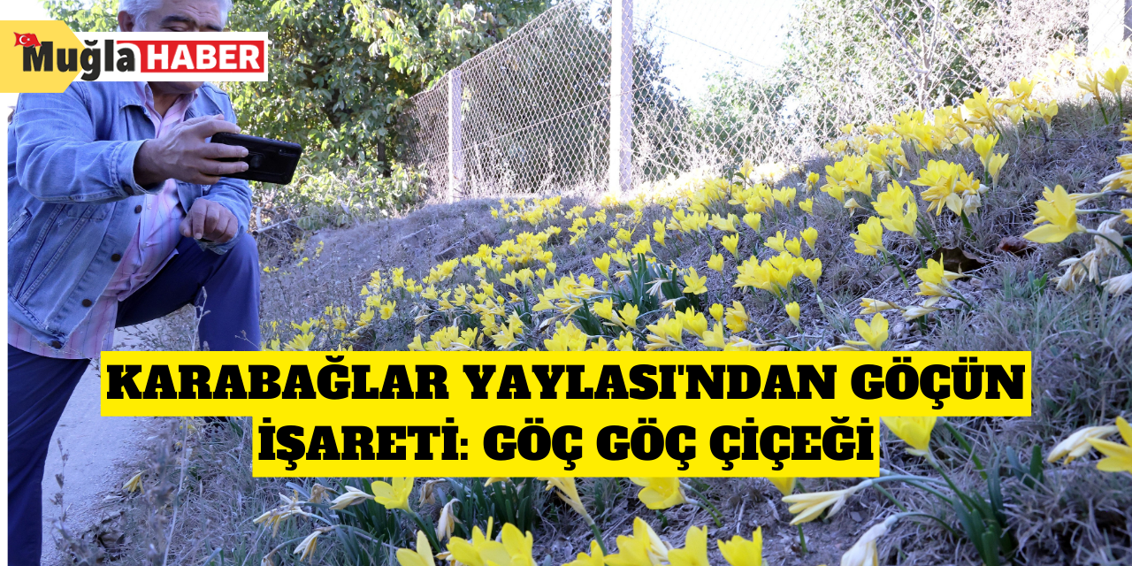 Karabağlar Yaylası'ndan göçün işareti: Göç Göç Çiçeği