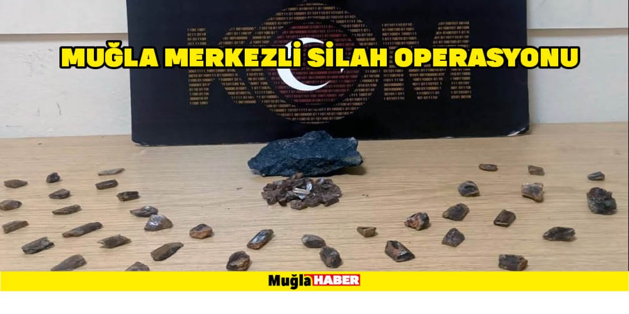 MUĞLA MERKEZLİ SİLAH OPERASYONU