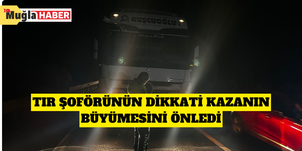 Tır şoförünün dikkati kazanın büyümesini önledi