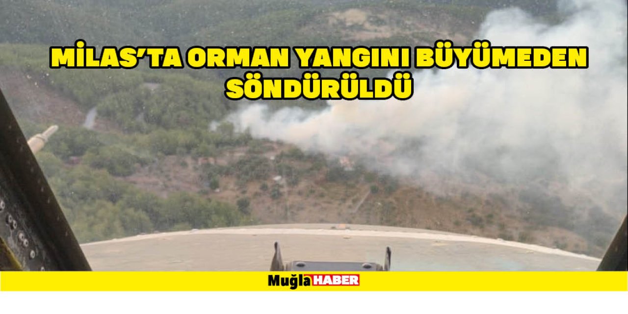 MİLAS'TA ORMAN YANGINI BÜYÜMEDEN SÖNDÜRÜLDÜ