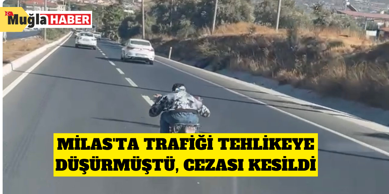 Milas'ta trafiği tehlikeye düşürmüştü, cezası kesildi