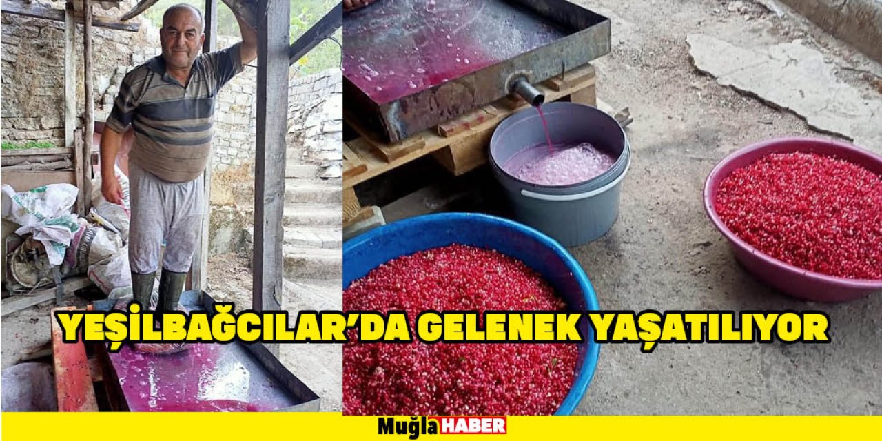 YEŞİLBAĞCILAR'DA GELENEK YAŞATILIYOR