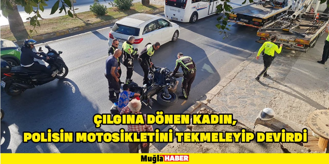 ÇILGINA DÖNEN KADIN, POLİSİN MOTOSİKLETİNİ TEKMELEYİP DEVİRDİ