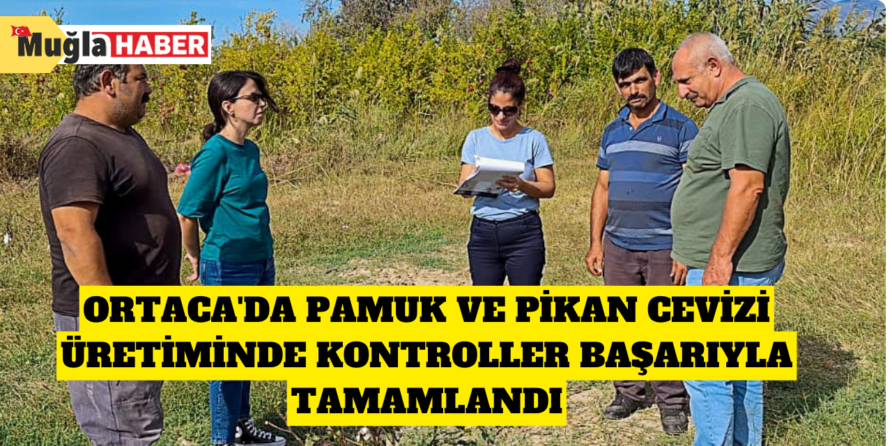 Ortaca'da pamuk ve pikan cevizi üretiminde kontroller başarıyla tamamlandı