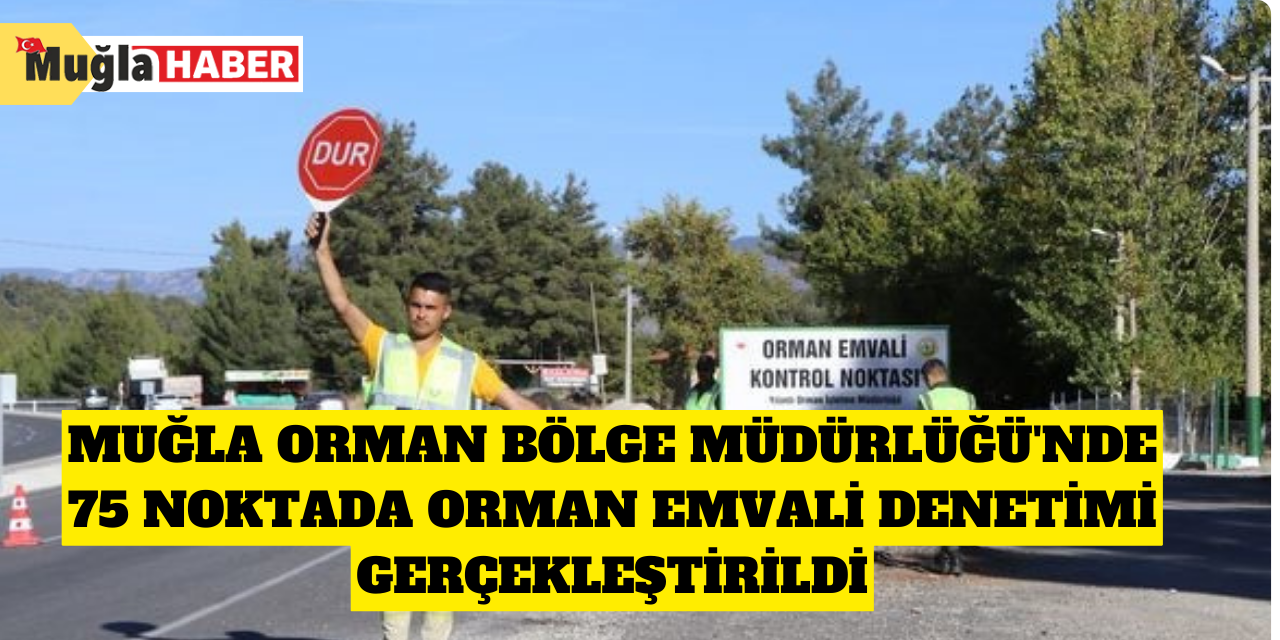 Muğla Orman Bölge Müdürlüğü'nde 75 noktada orman emvali denetimi gerçekleştirildi