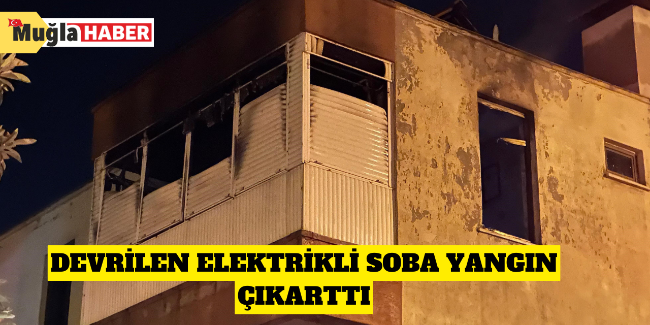 Devrilen elektrikli soba yangın çıkarttı