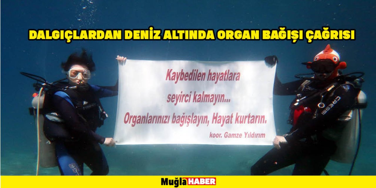 DALGIÇLARDAN DENİZ ALTINDA ORGAN BAĞIŞI ÇAĞRISI