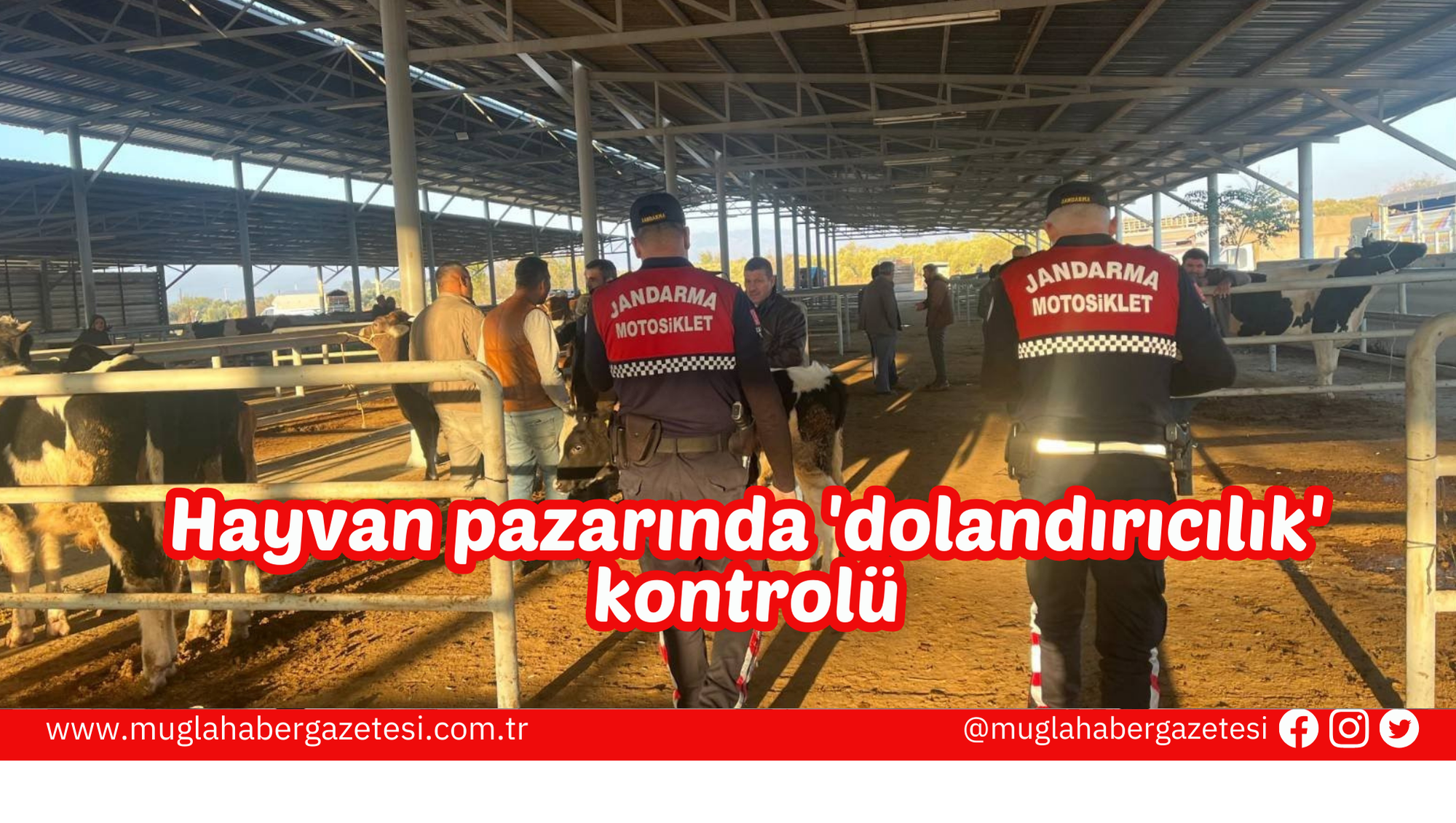 Hayvan pazarında 'dolandırıcılık' kontrolü