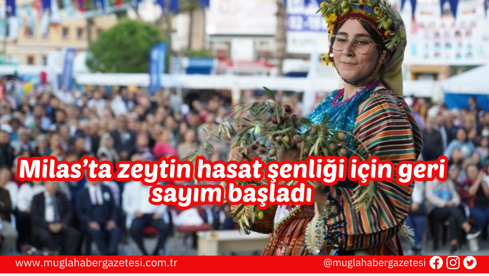 Milas’ta zeytin hasat şenliği için geri sayım başladı