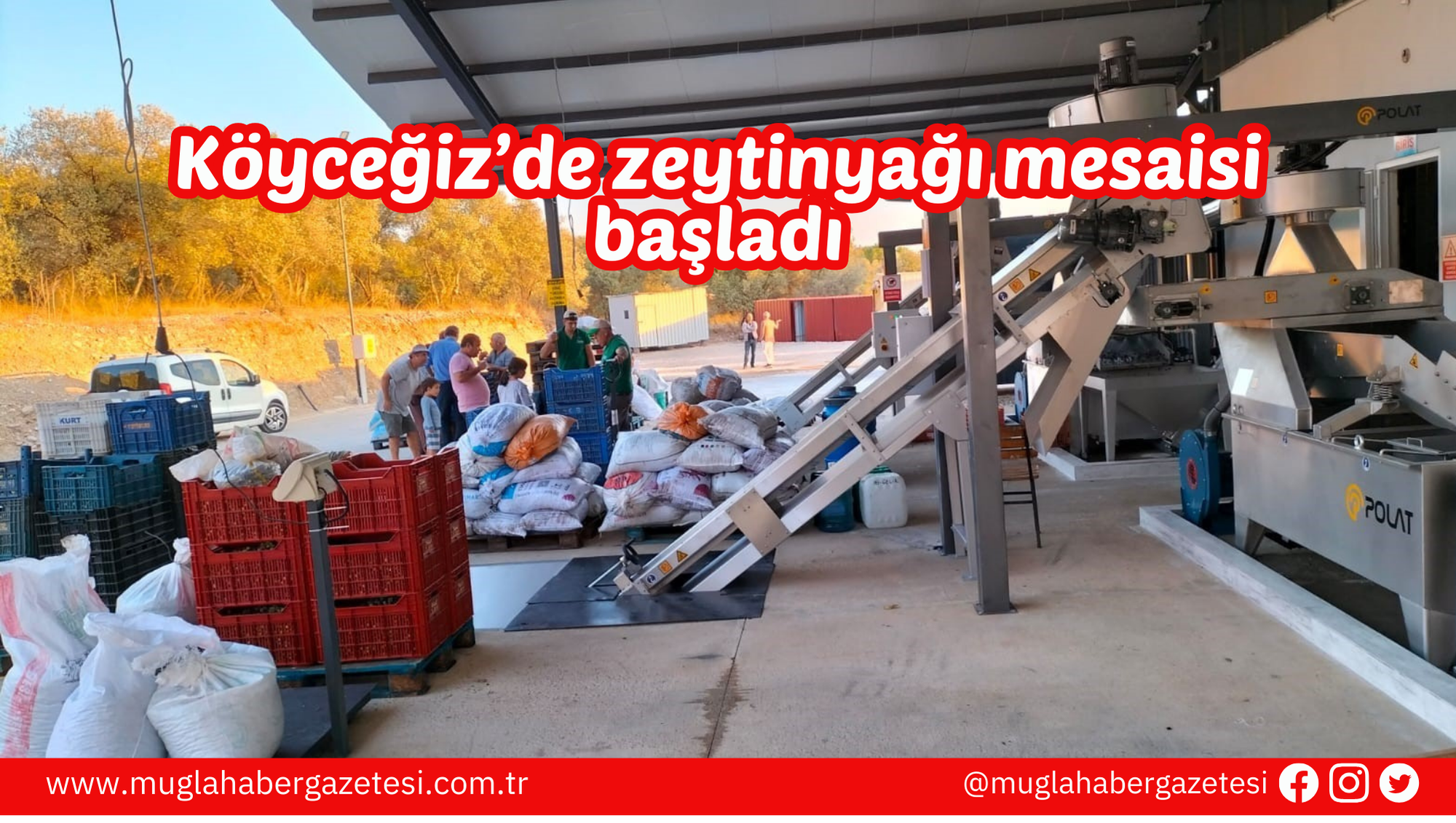 Köyceğiz’de zeytinyağı mesaisi başladı