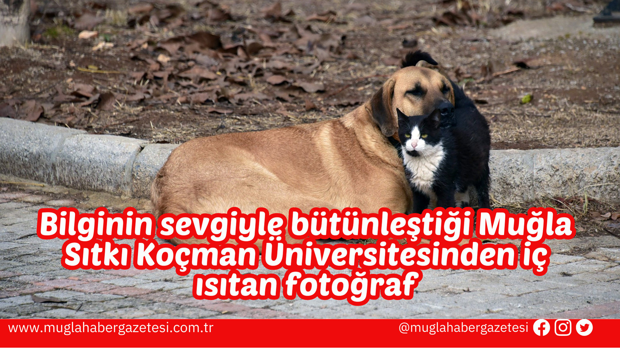 Bilginin sevgiyle bütünleştiği Muğla Sıtkı Koçman Üniversitesinden iç ısıtan fotoğraf