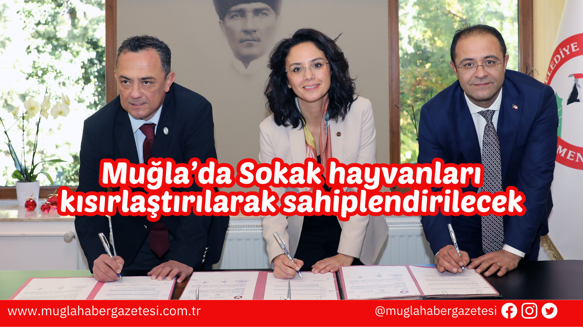 Muğla’da Sokak hayvanları kısırlaştırılarak sahiplendirilecek