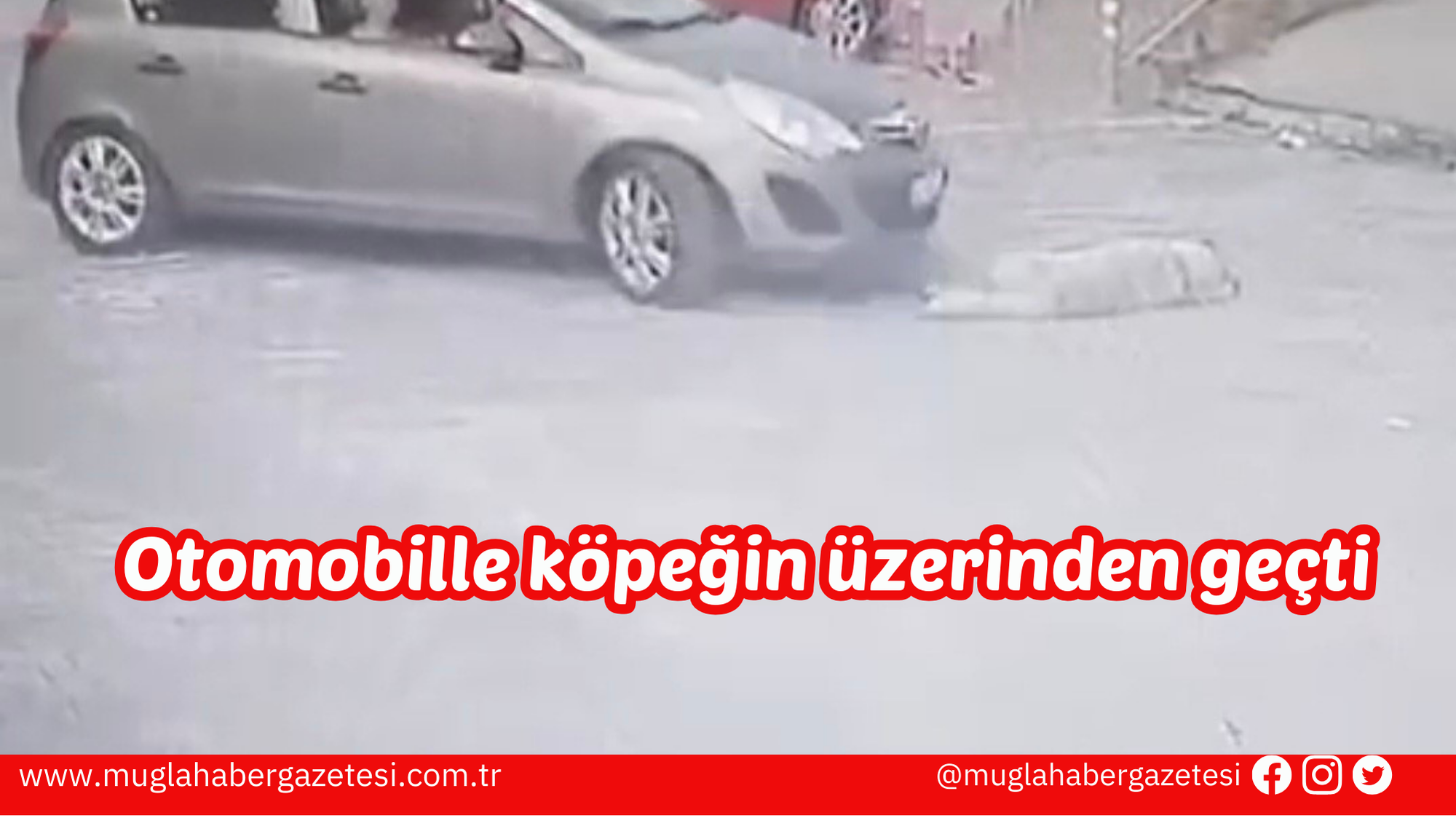 Otomobille köpeğin üzerinden geçti