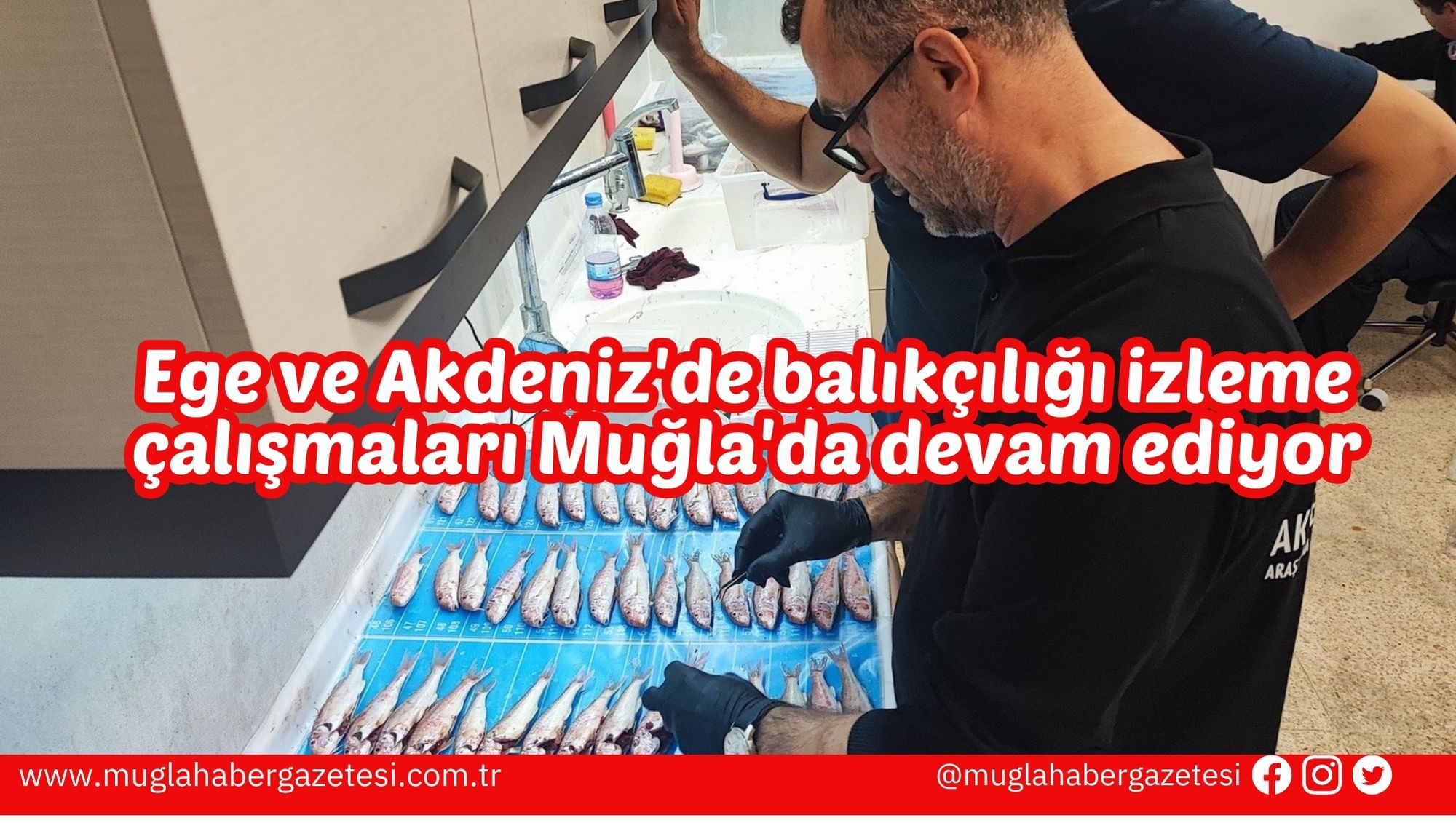 Ege ve Akdeniz'de balıkçılığı izleme çalışmaları Muğla'da devam ediyor