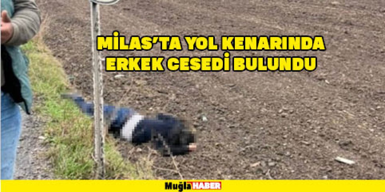 Milas’ta yol kenarında  erkek cesedi bulundu