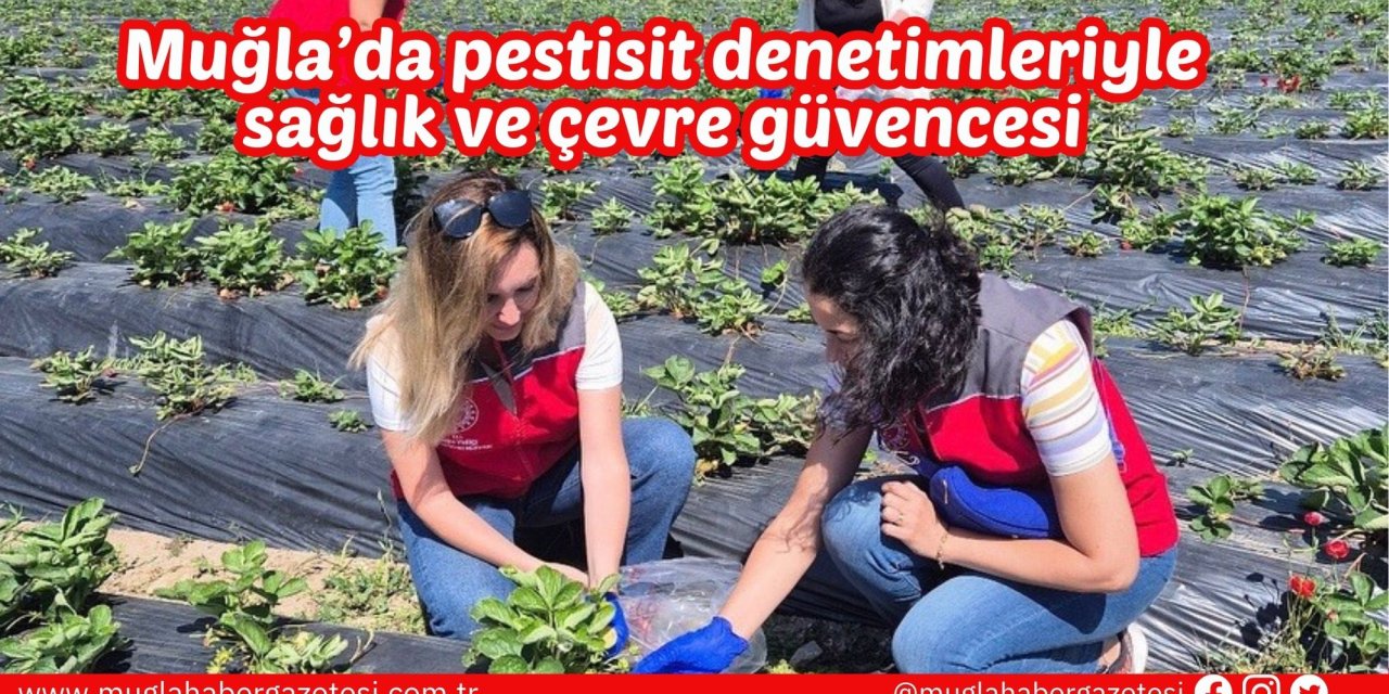 Muğla’da pestisit denetimleriyle sağlık ve çevre güvencesi