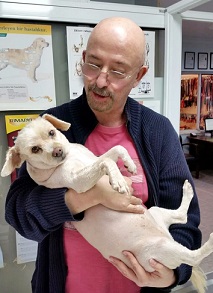 Arı köpeğin ağzına yerleşmiş!