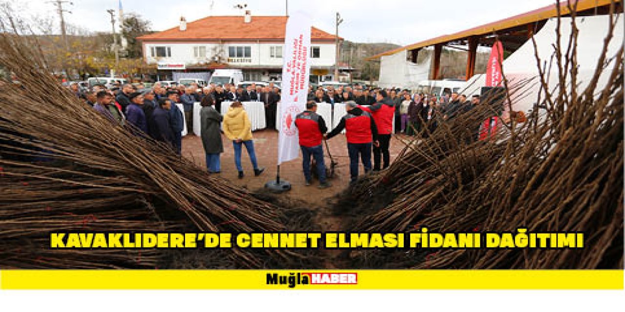 KAVAKLIDERE’DE CENNET ELMASI FİDANI DAĞITIMI