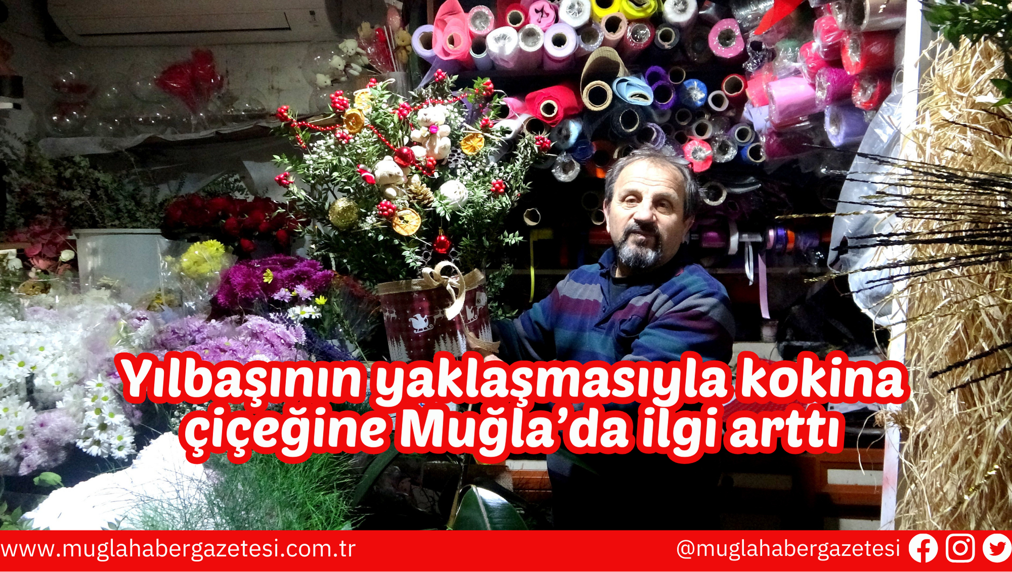 Yılbaşının yaklaşmasıyla kokina çiçeğine Muğla’da ilgi arttı