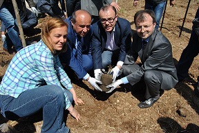 Güller toprakla buluştu