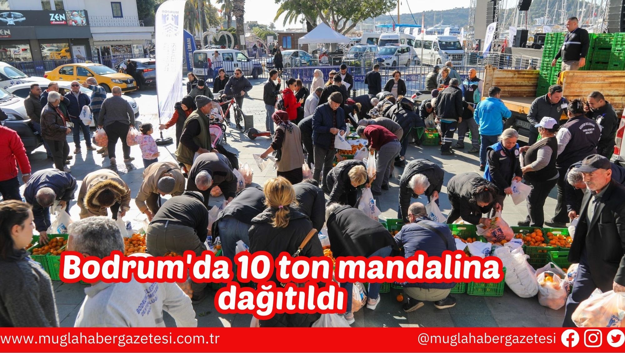 Bodrum'da 10 ton mandalina dağıtıldı