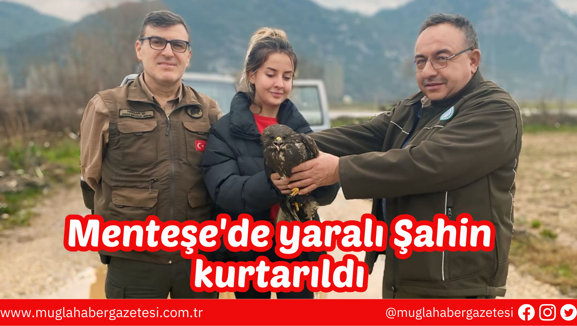 Menteşe'de yaralı Şahin kurtarıldı