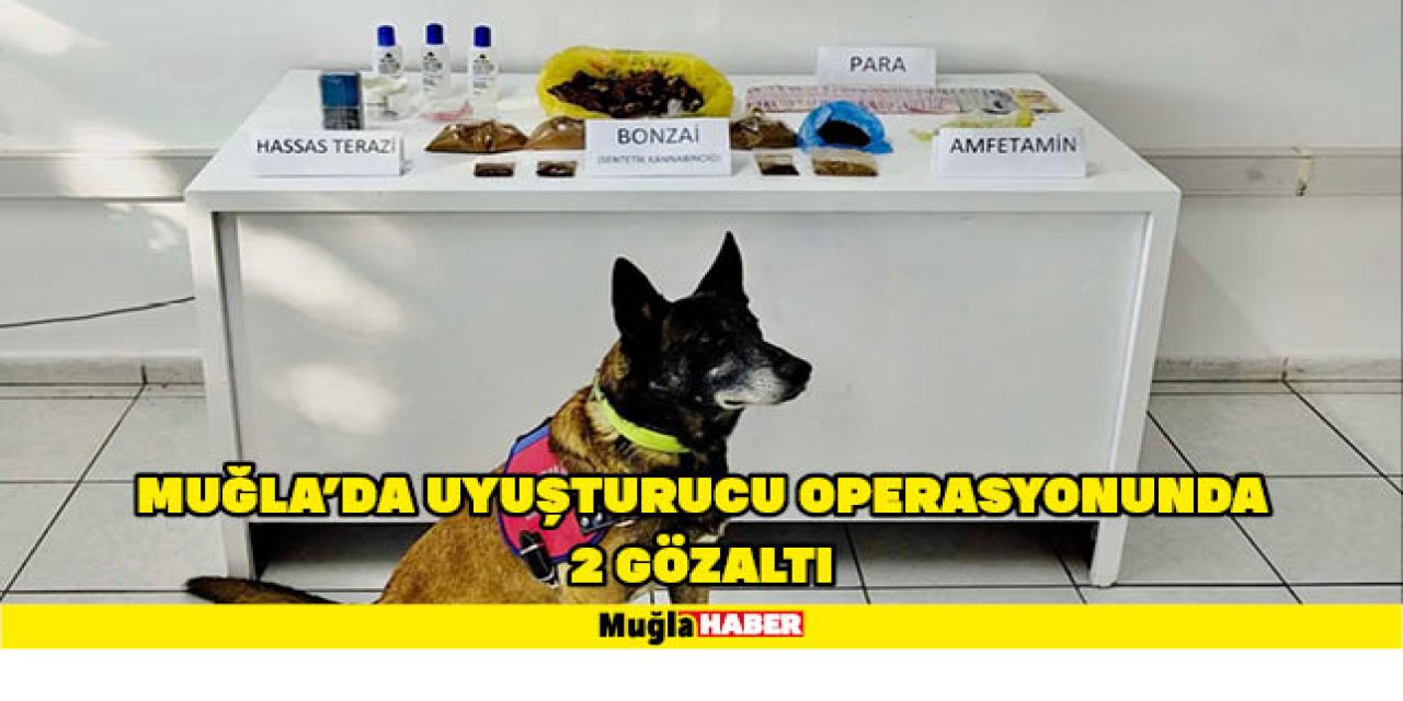 MUĞLA'DA UYUŞTURUCU OPERASYONUNDA 2 GÖZALTI