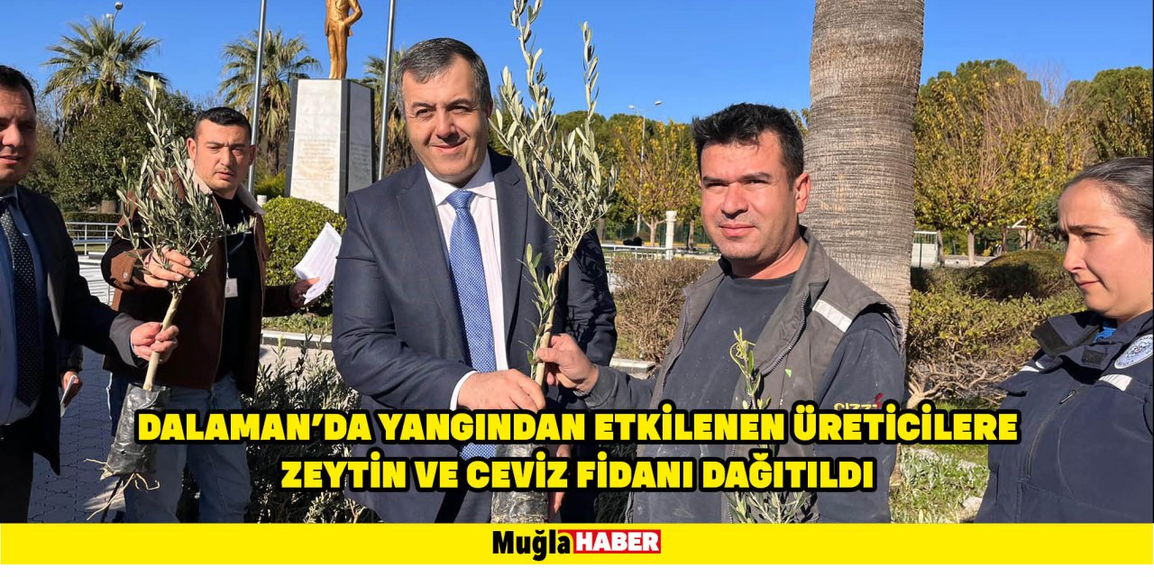 DALAMAN'DA YANGINDAN ETKİLENEN ÜRETİCİLERE ZEYTİN VE CEVİZ FİDANI DAĞITILDI