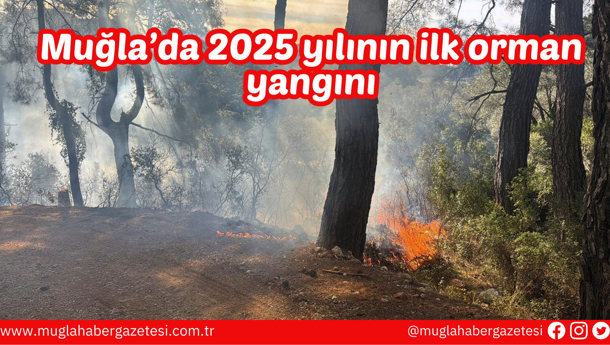 Muğla’da 2025 yılının ilk orman yangını