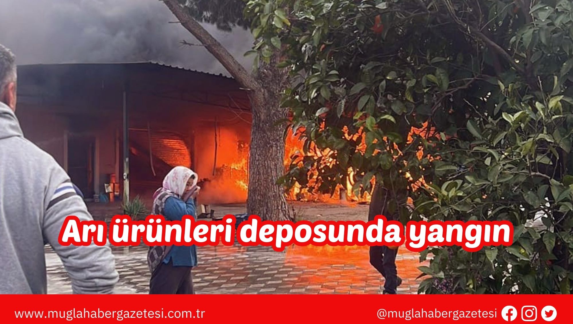 Arı ürünleri deposunda yangın