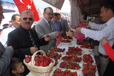 Tarım Fuarı’na 50 bin ziyaretçi bekleniyor