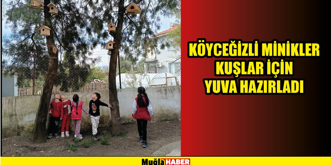 Köyceğizli minikler kuşlar için yuva hazırladı