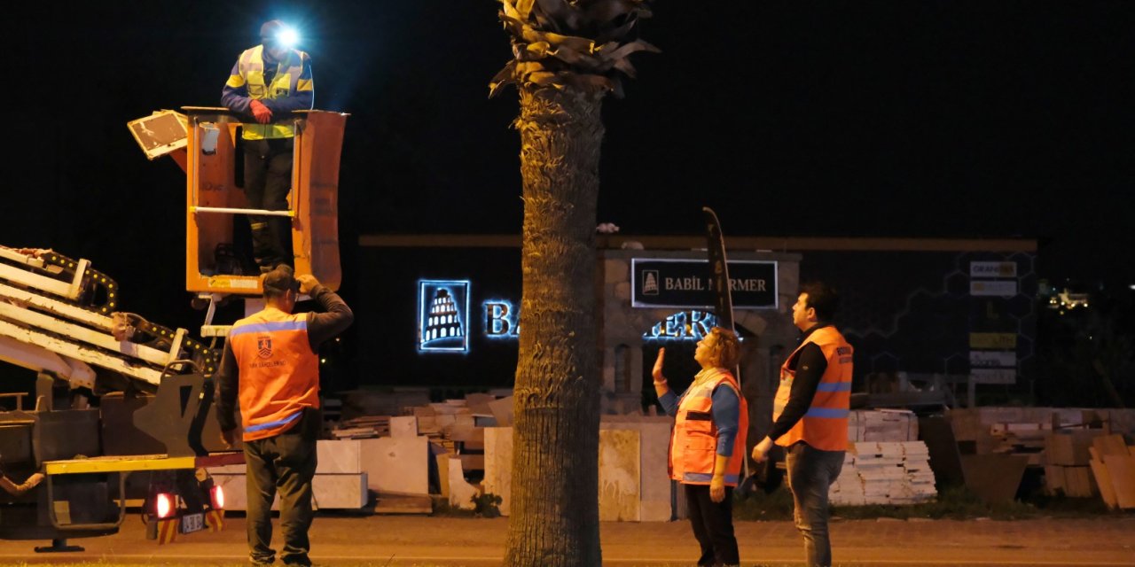 Belediyeden Ağaç Budama Çalışması