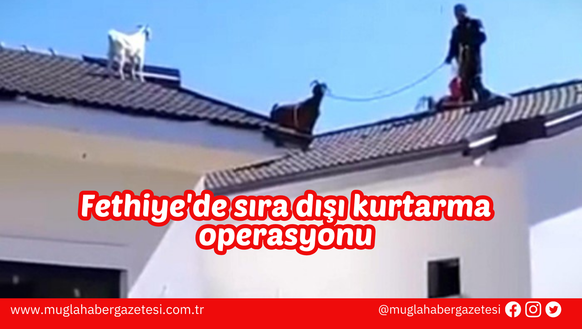 Fethiye'de sıra dışı kurtarma operasyonu