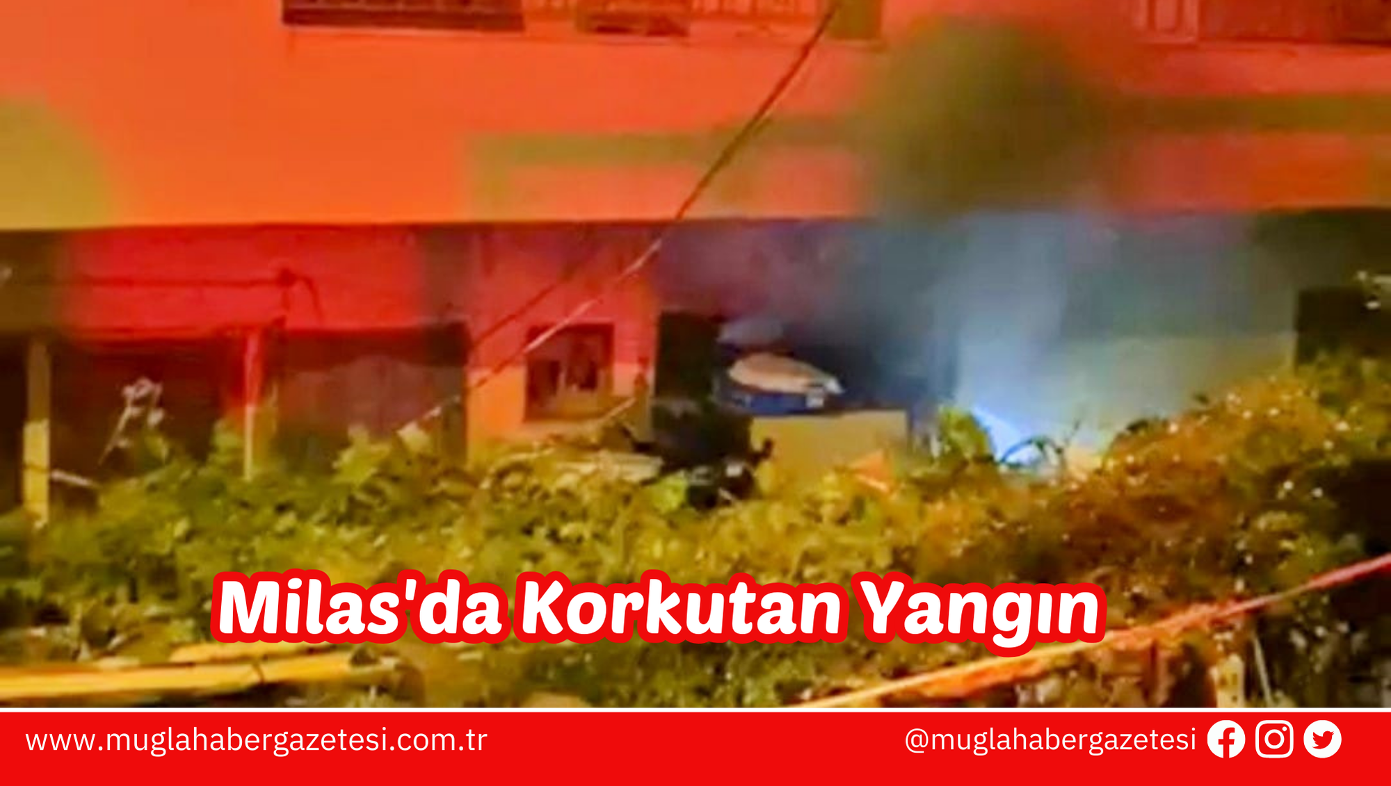 Milas'da Korkutan Yangın