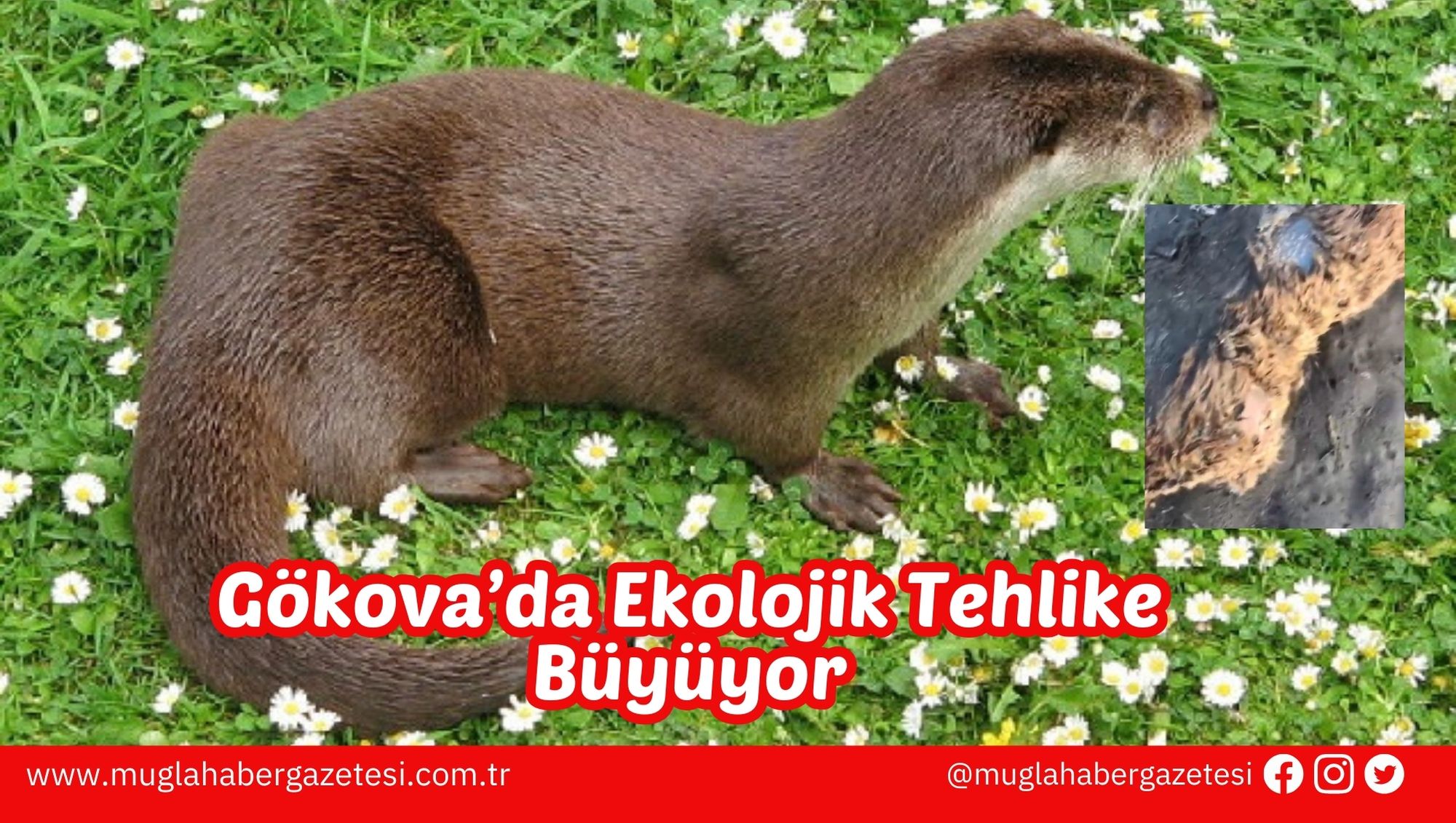 Gökova’da Ekolojik Tehlike Büyüyor