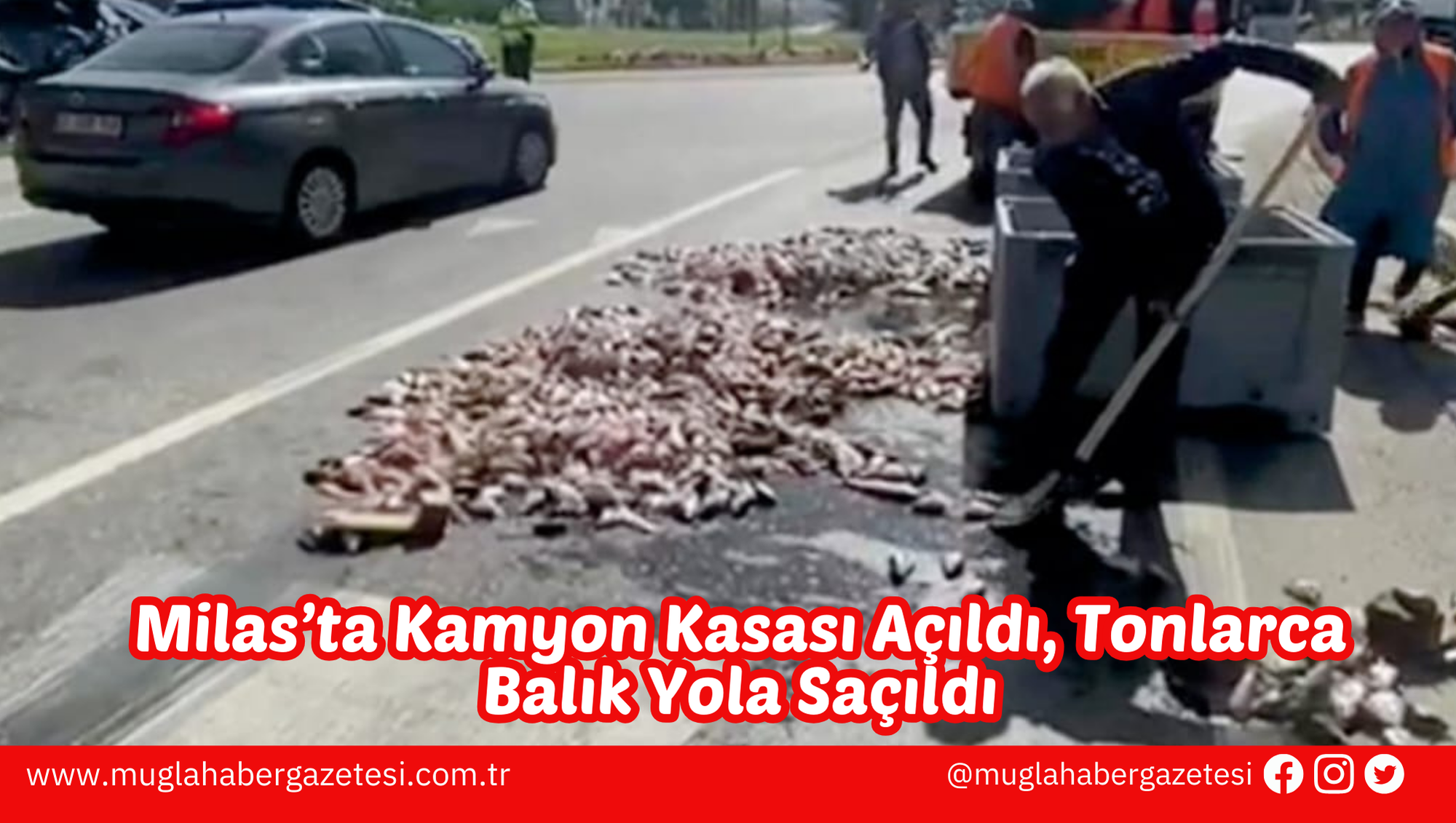 Milas’ta Kamyon Kasası Açıldı, Tonlarca Balık Yola Saçıldı