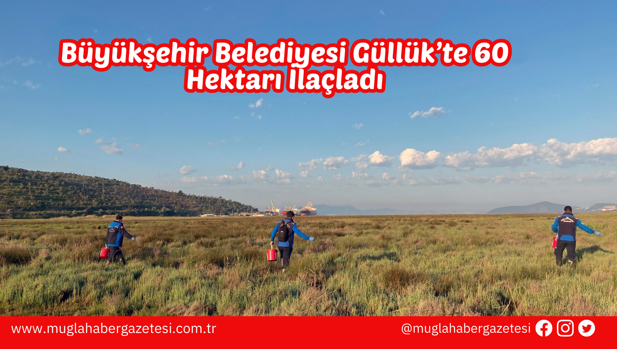 Büyükşehir Belediyesi Güllük’te 60 Hektarı İlaçladı