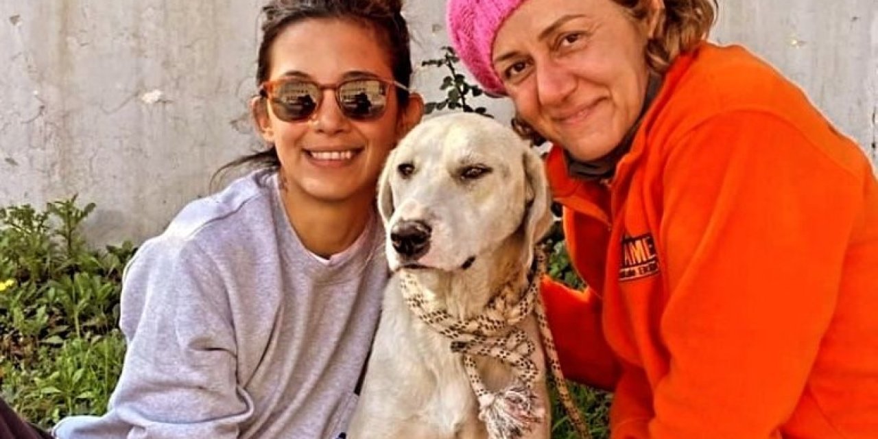 DEPREMDE KURTARILAN KÖPEK, DATÇA'DAKİ YENİ HAYATINA DEVAM EDİYOR