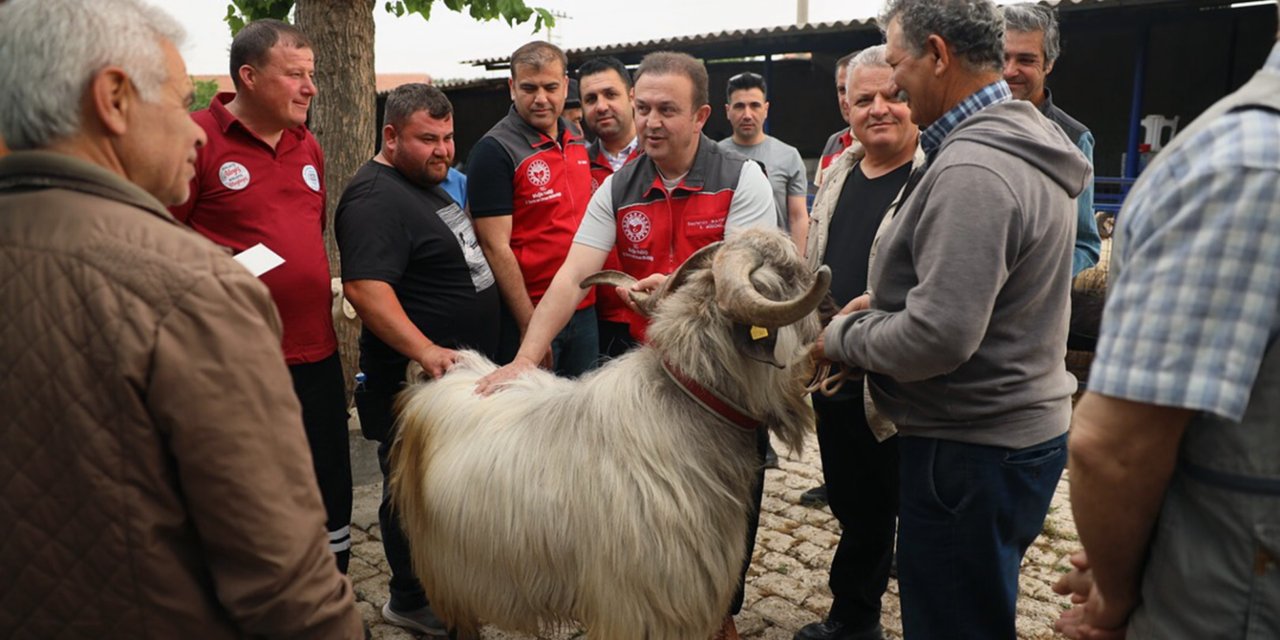 KURBAN PAZARLARINDA SAĞLIK VE HİJYEN KONTROLÜ