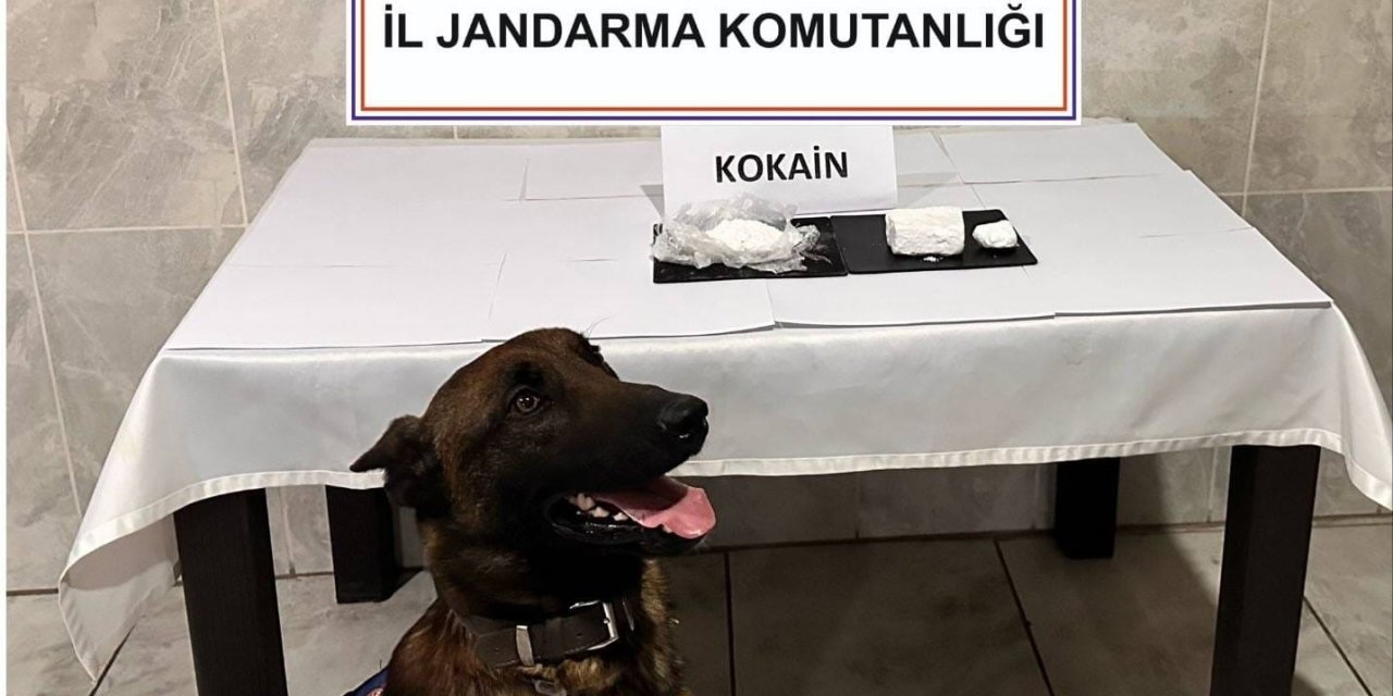 Yatağan’da yolcu otobüsünde 290 gram kokain yakalandı