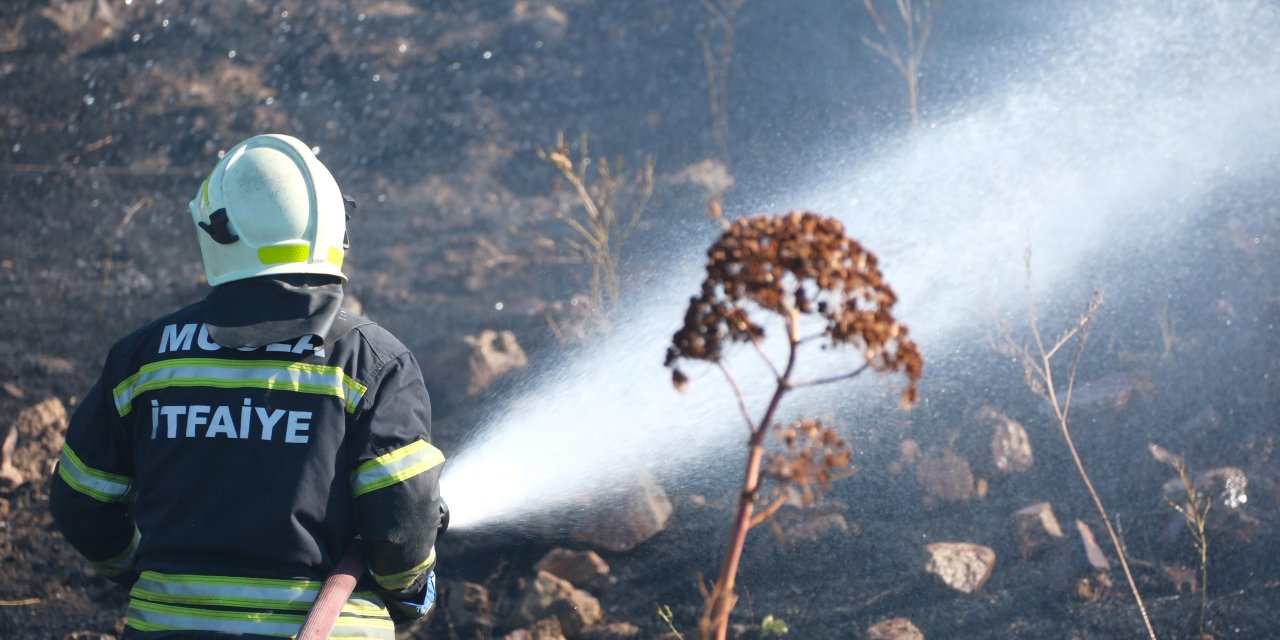 BODRUM’DA OTLUK ALANDA ÇIKAN YANGIN 5 DEKARLIK ALANI KÜLE ÇEVİRDİ