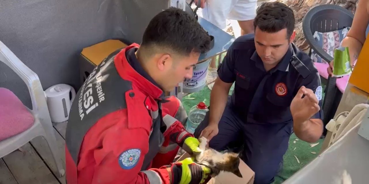 Fethiye’de otomobilde sıkışan yavru kedi kurtarıldı